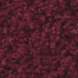 Burgundy Berry